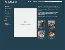 Tablet Screenshot of numinor.com